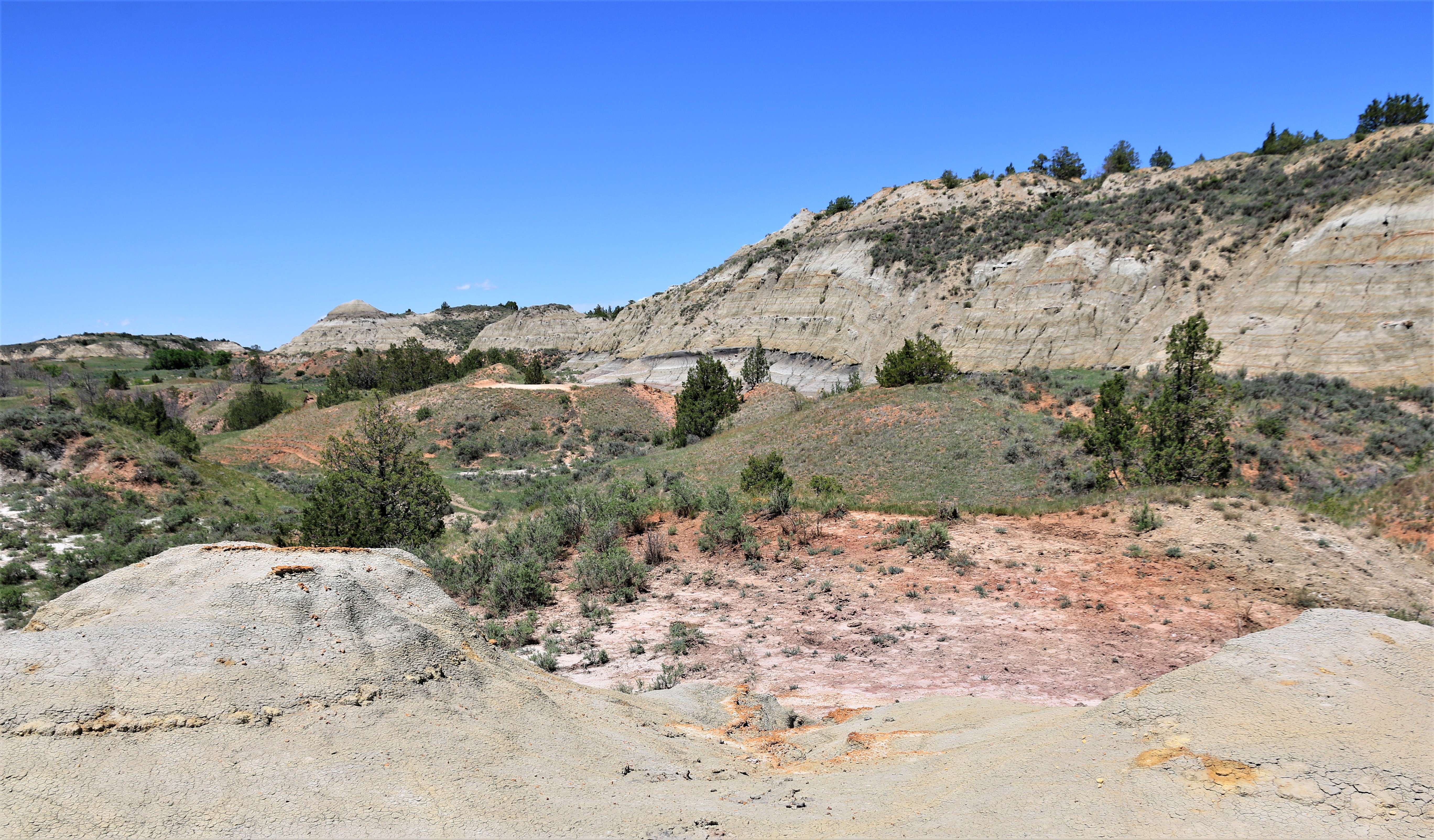 Theodore Roosevelt NP